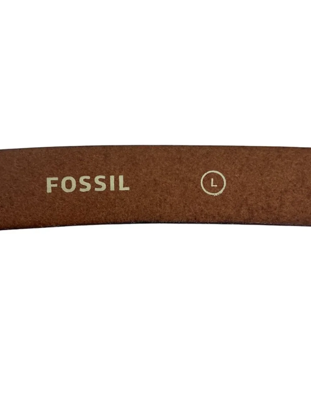Fossil explorer genuine